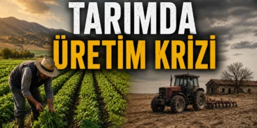 Türkiye'de tarım üretimi, çiftçilik ve tarımda üretim krizi